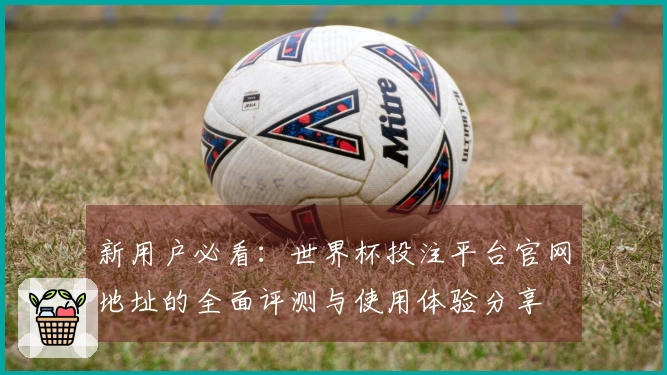 新用户必看：世界杯投注平台官网地址的全面评测与使用体验分享