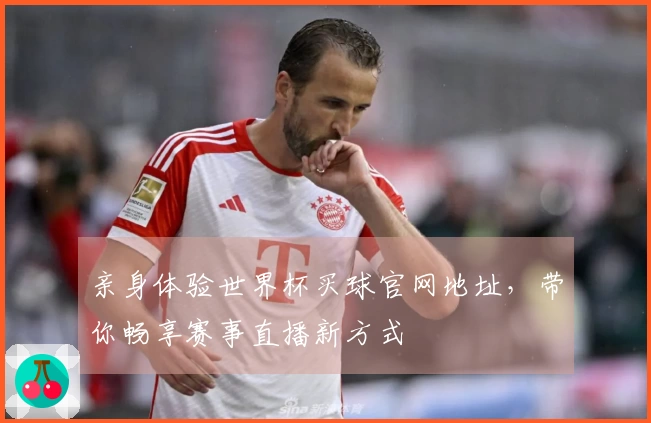 亲身体验世界杯买球官网地址，带你畅享赛事直播新方式