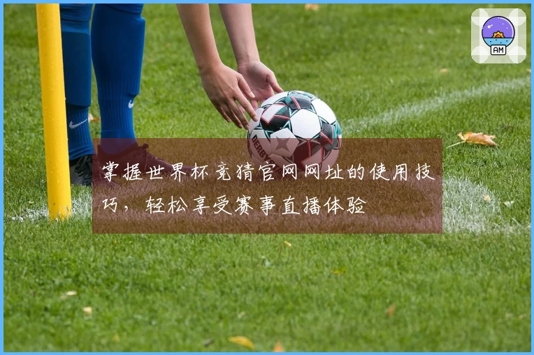 掌握世界杯竞猜官网网址的使用技巧，轻松享受赛事直播体验