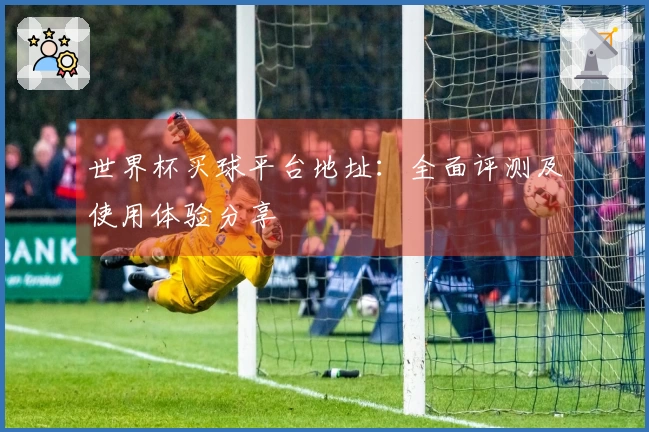 世界杯买球平台地址：全面评测及使用体验分享